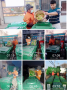 <b>永旺达保洁中心12月7日至13日周报</b>